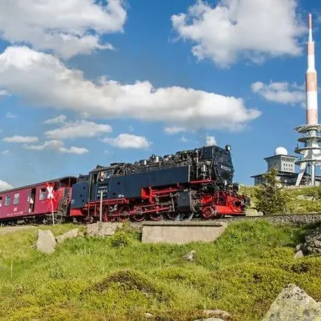 FeWo Am alten Holzplatz Drübeck Buitenkant foto